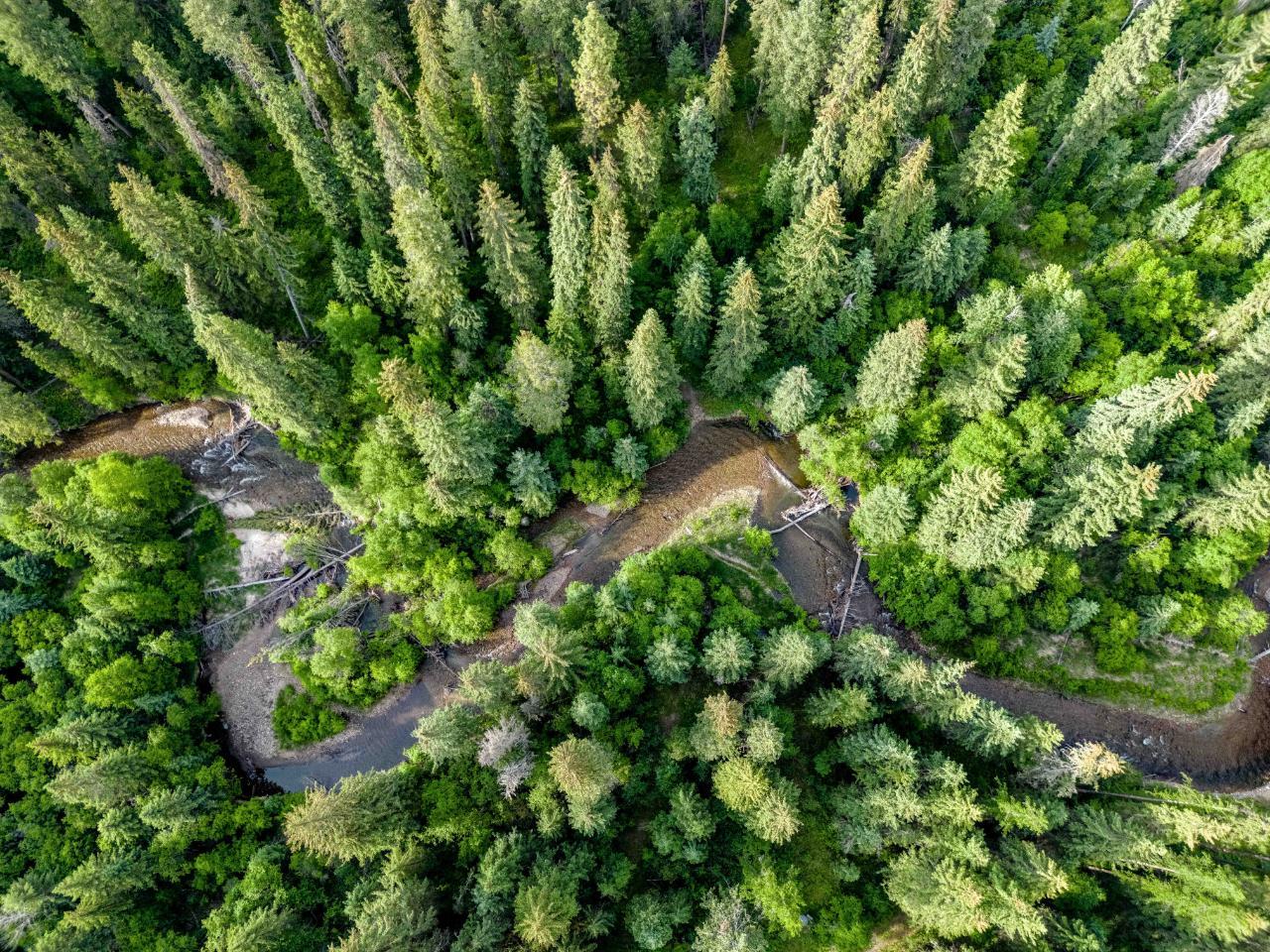 4901 Ld Ranch Road, Kimberley, British Columbia  V1A 2L4 - Photo 9 - 2474634