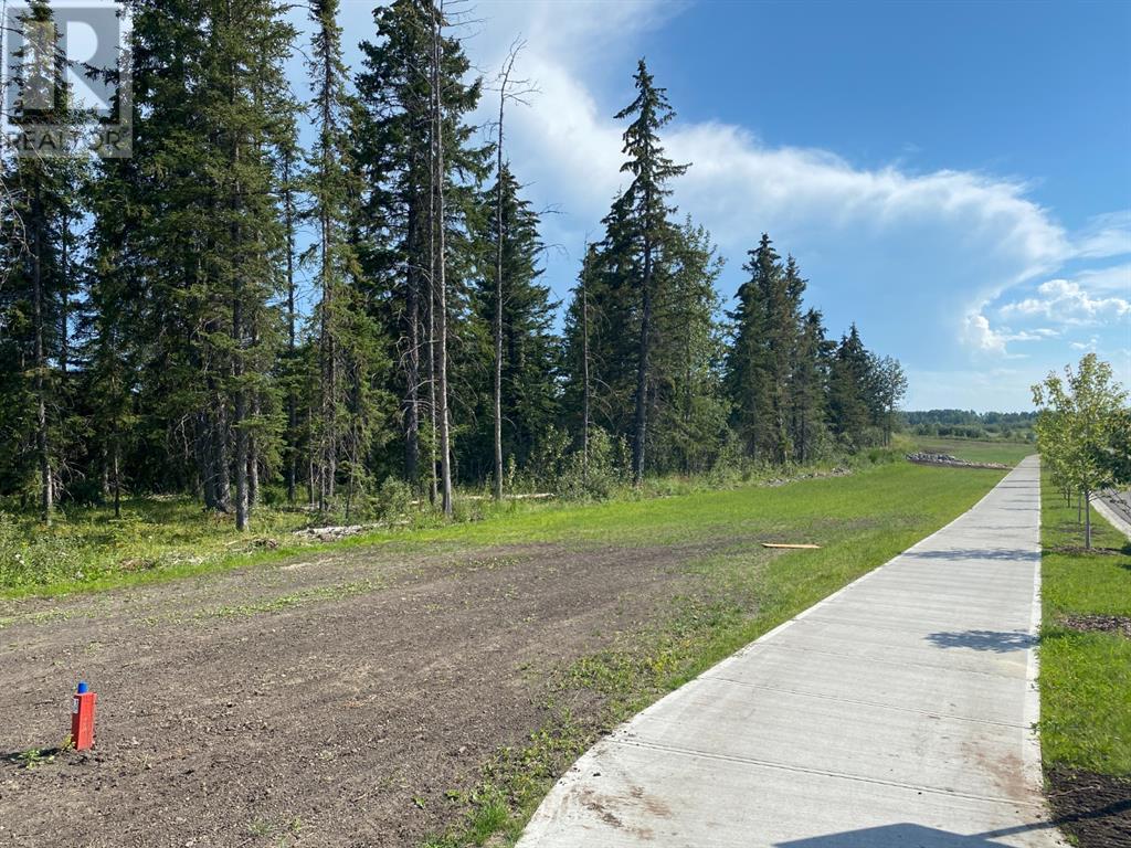 On 54 Street, Rocky Mountain House, Alberta  T4T 0B5 - Photo 2 - A2102654