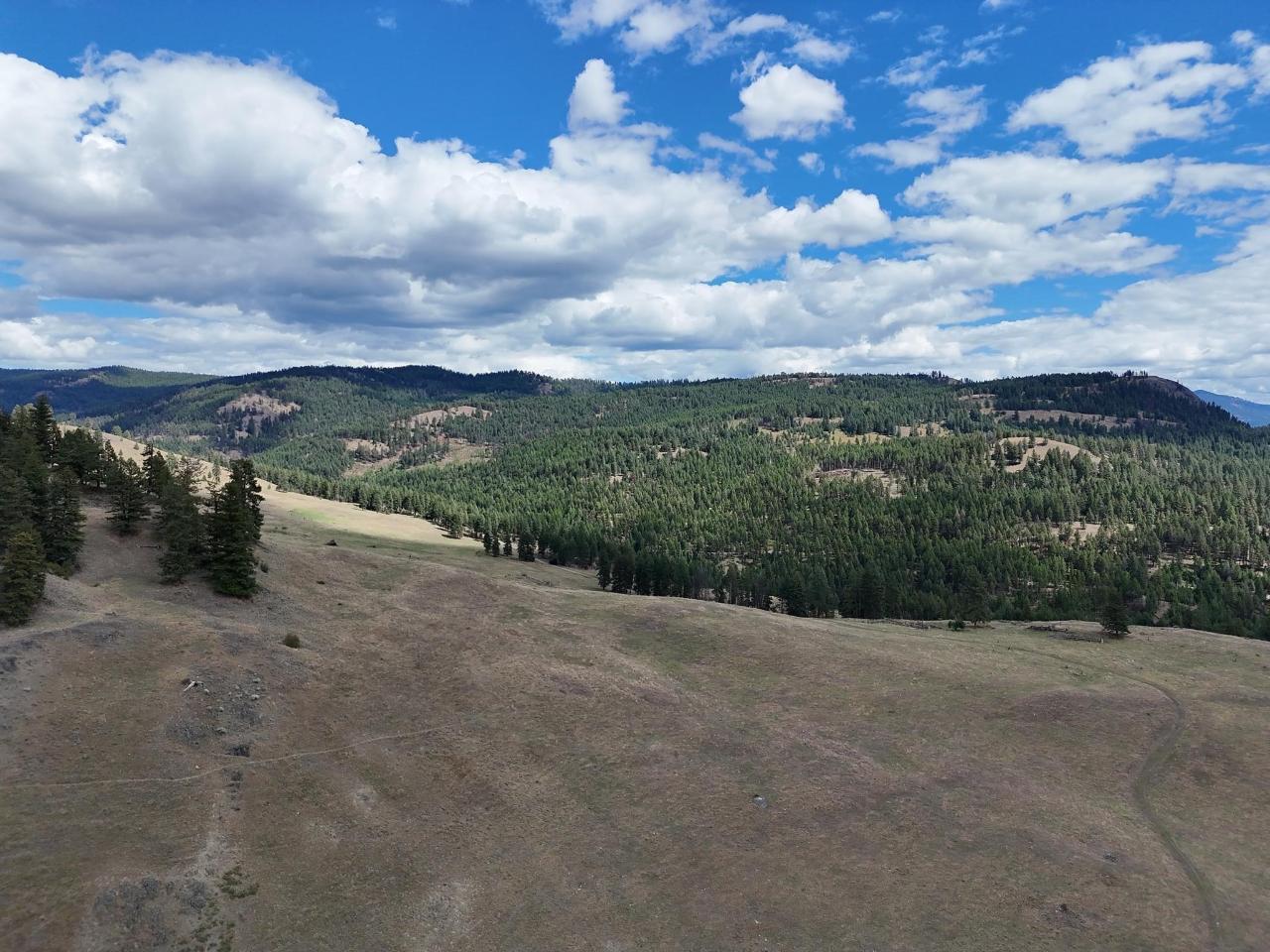 3055 Ingram Creek Forest Service Rd, Grand Forks Rural West, British Columbia  V0H 1M0 - Photo 2 - 2474641