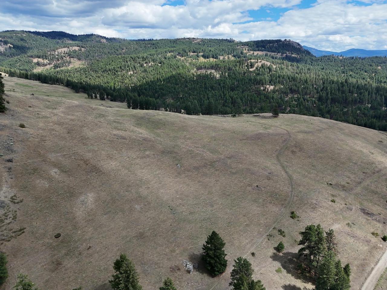 3055 Ingram Creek Forest Service Rd, Grand Forks Rural West, British Columbia  V0H 1M0 - Photo 5 - 2474641