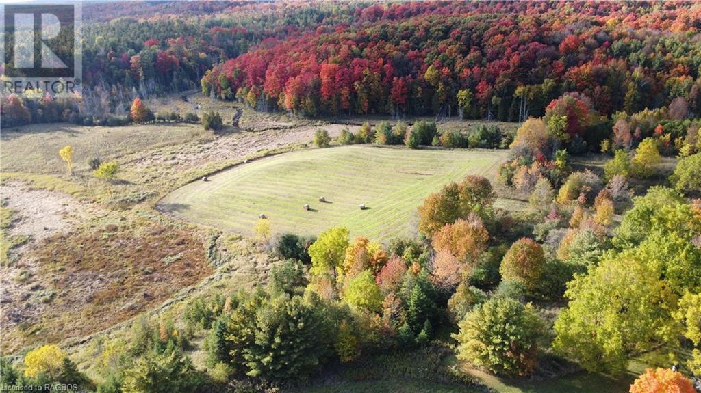 101 King Road, Teeswater, Ontario  N0G 2S0 - Photo 10 - 40522301