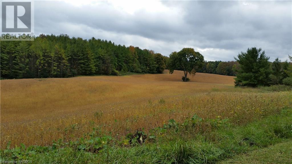 101 King Road, Teeswater, Ontario  N0G 2S0 - Photo 31 - 40522301