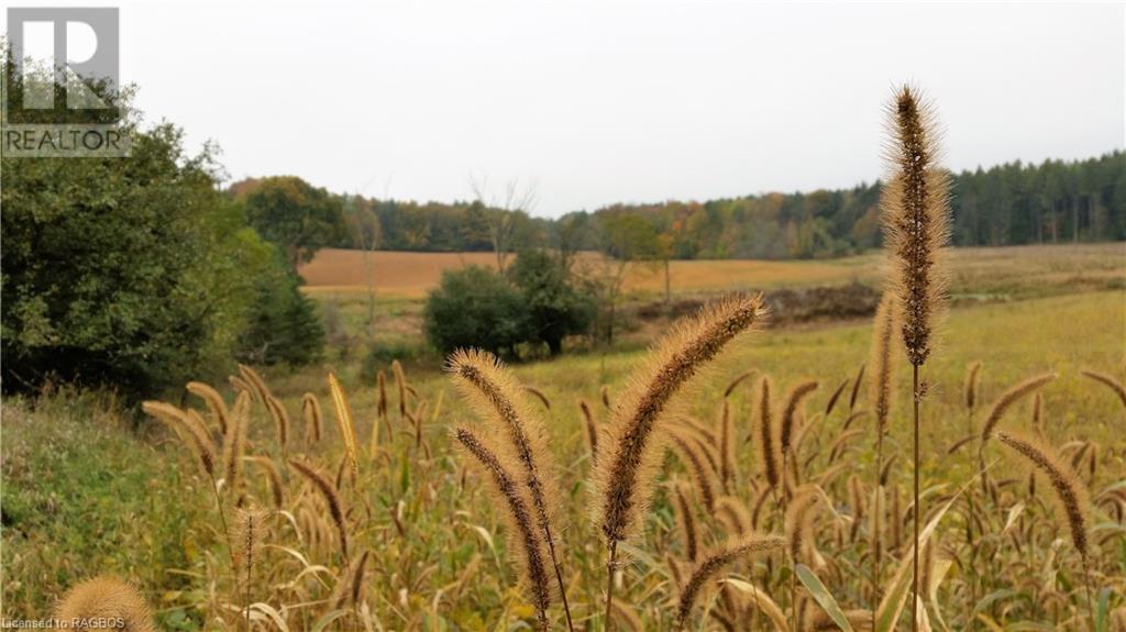 101 King Road, Teeswater, Ontario  N0G 2S0 - Photo 32 - 40522301