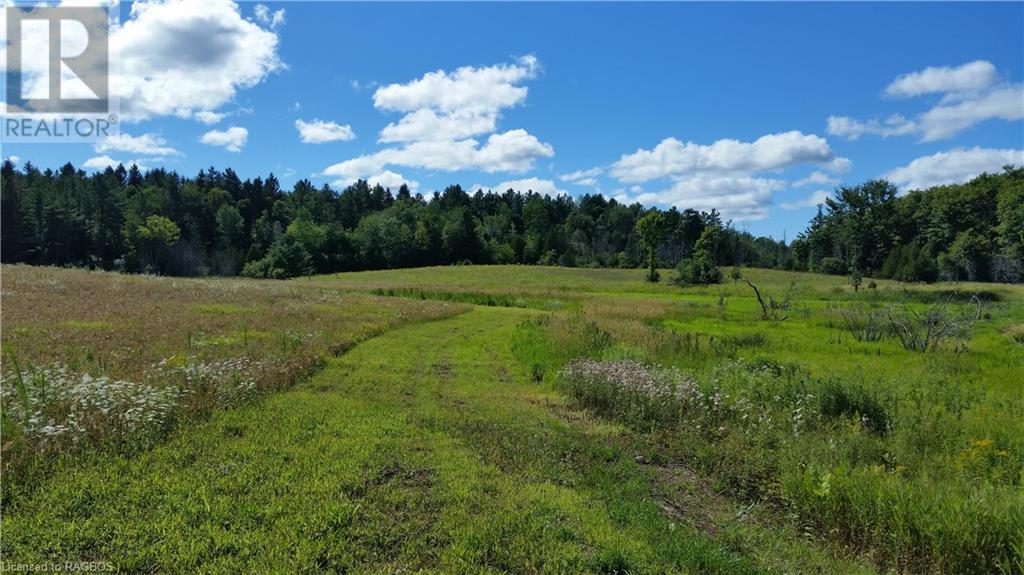 101 King Road, Teeswater, Ontario  N0G 2S0 - Photo 33 - 40522301