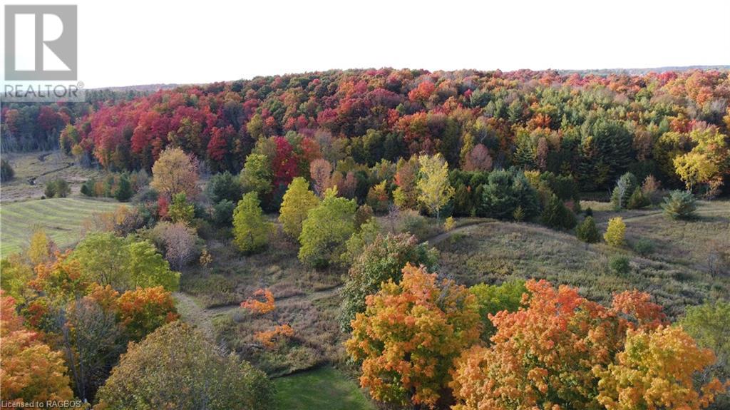 101 King Road, Teeswater, Ontario  N0G 2S0 - Photo 5 - 40522301