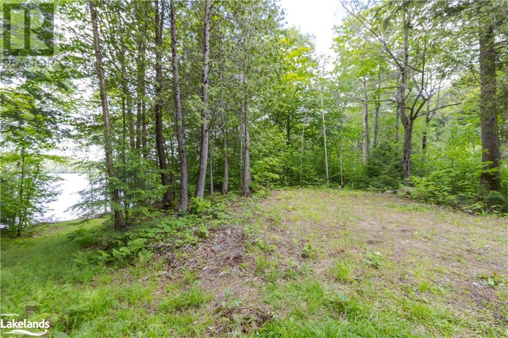 4821 Haliburton Lake Road, Haliburton, Ontario  K0M 1S0 - Photo 12 - 40530806