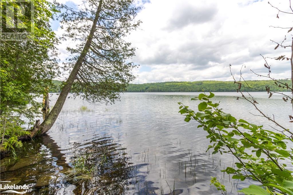 4821 Haliburton Lake Road, Haliburton, Ontario  K0M 1S0 - Photo 3 - 40530806