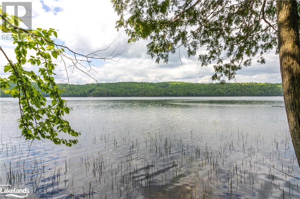 4821 Haliburton Lake Road, Haliburton, Ontario  K0M 1S0 - Photo 5 - 40530806