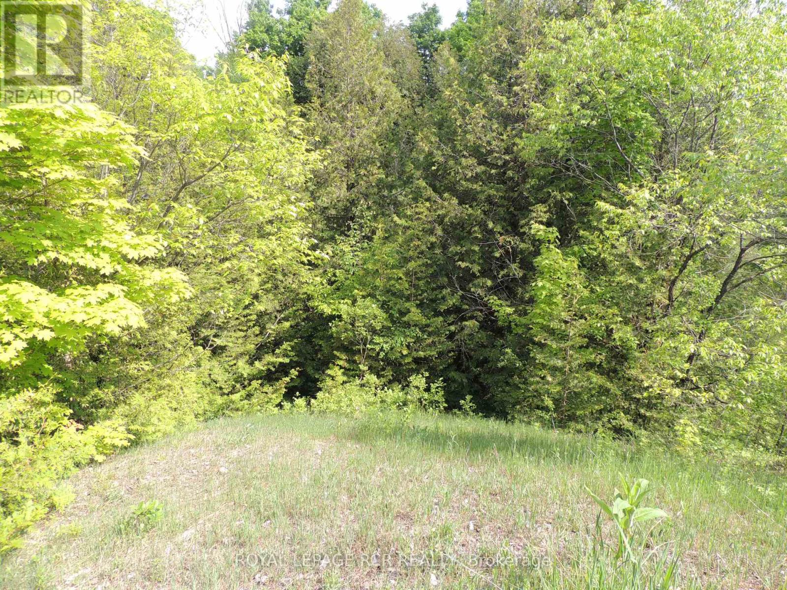 571607 Southgatesideroad 57 Sideroad, Southgate, Ontario  N0G 2L0 - Photo 16 - X8014538