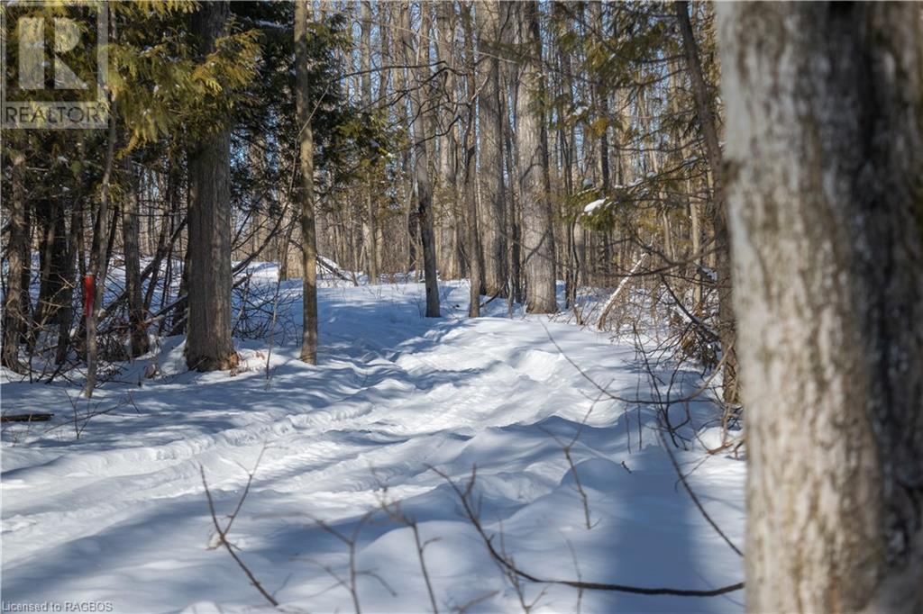 Pt Lt 3 Con 1 Division 3 Wilder Lake Road, Southgate, Ontario  N0G 1R0 - Photo 28 - 40531764