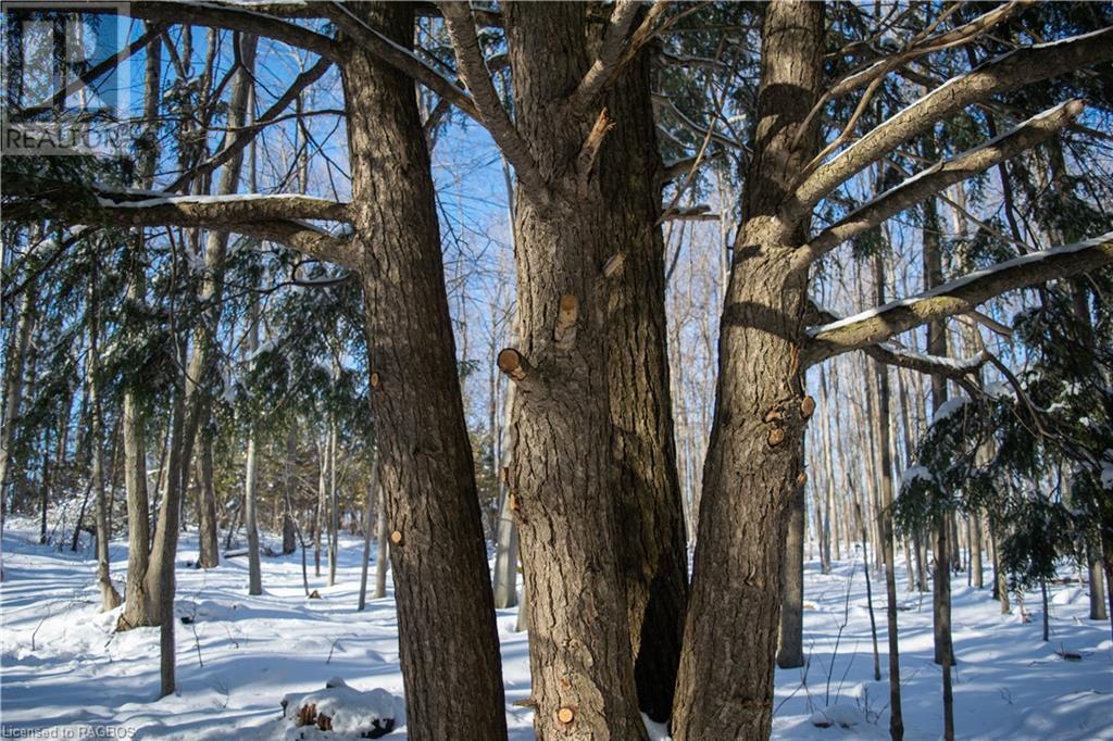 Pt Lt 3 Con 1 Division 3 Wilder Lake Road, Southgate, Ontario  N0G 1R0 - Photo 30 - 40531764