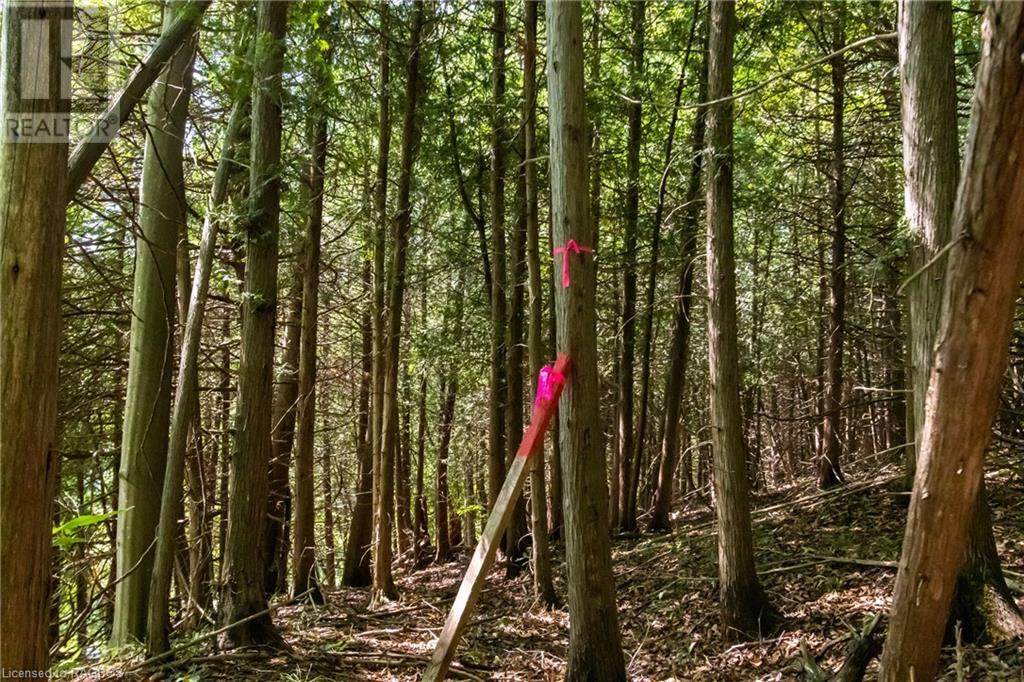 Pt Lt 3 Con 1 Division 3 Wilder Lake Road, Southgate, Ontario  N0G 1R0 - Photo 17 - 40531700