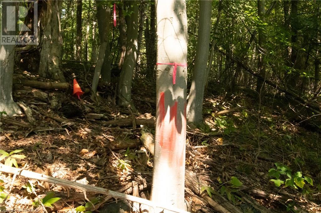 Pt Lt 3 Con 1 Division 3 Wilder Lake Road, Southgate, Ontario  N0G 1R0 - Photo 18 - 40531700