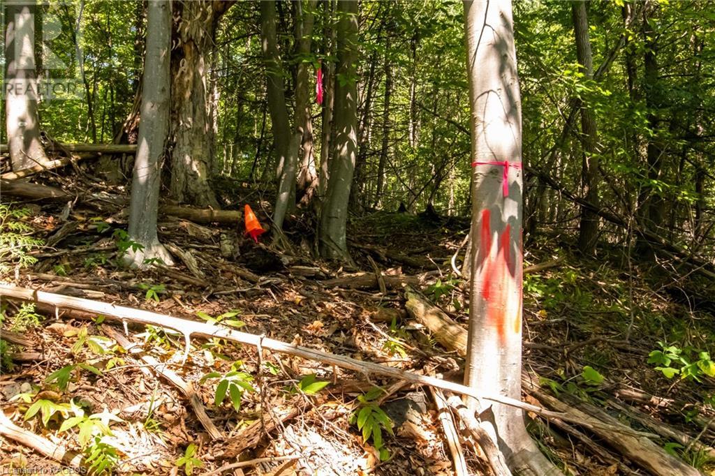 Pt Lt 3 Con 1 Division 3 Wilder Lake Road, Southgate, Ontario  N0G 1R0 - Photo 19 - 40531700