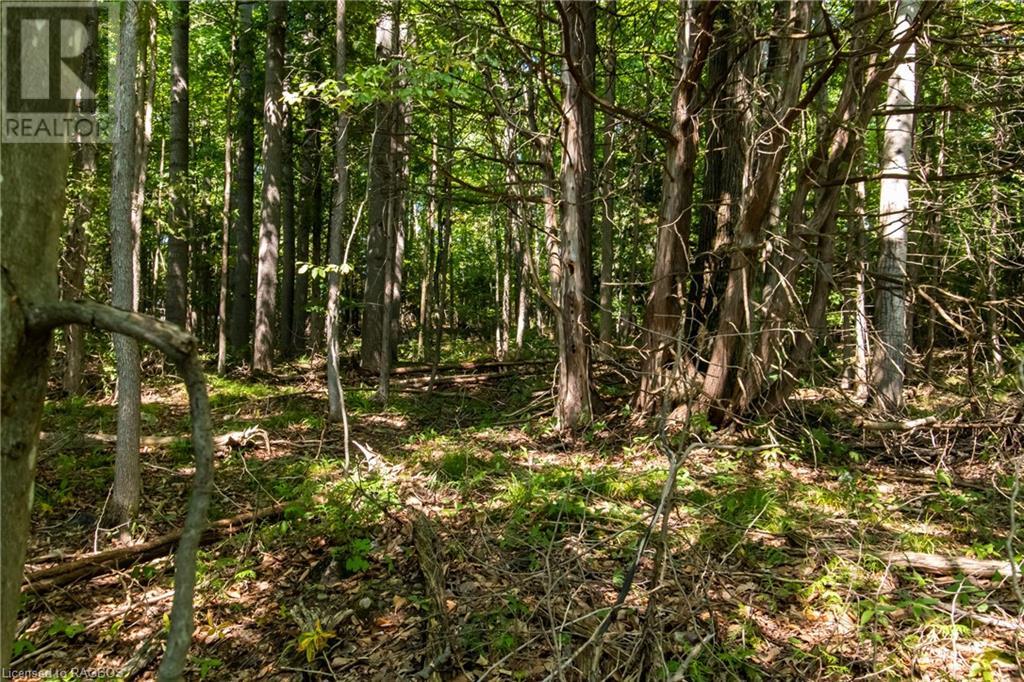 Pt Lt 3 Con 1 Division 3 Wilder Lake Road, Southgate, Ontario  N0G 1R0 - Photo 20 - 40531700