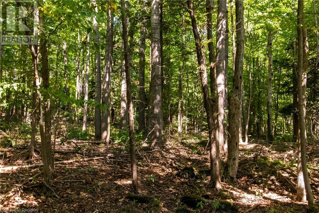 Pt Lt 3 Con 1 Division 3 Wilder Lake Road, Southgate, Ontario  N0G 1R0 - Photo 21 - 40531700