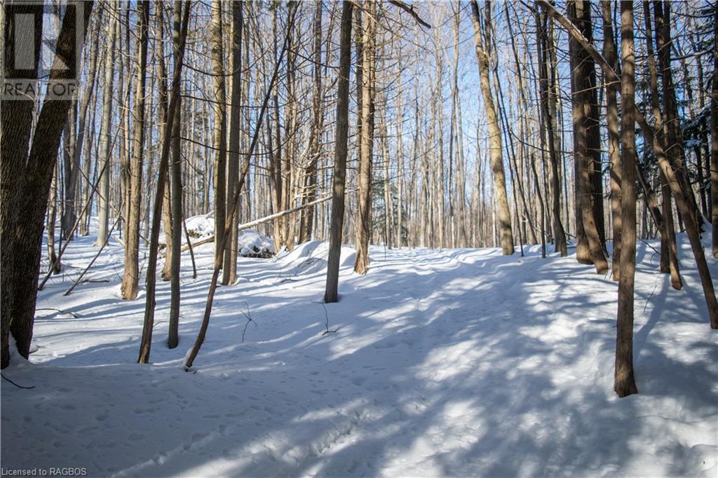 Pt Lt 3 Con 1 Division 3 Wilder Lake Road, Southgate, Ontario  N0G 1R0 - Photo 31 - 40531700