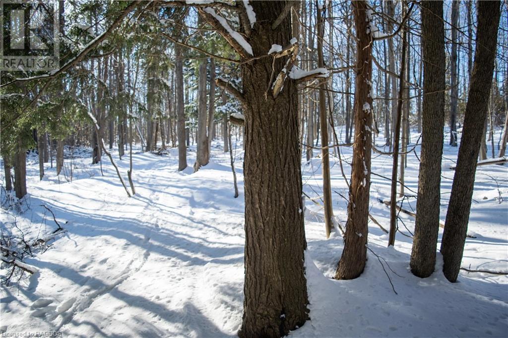 Pt Lt 3 Con 1 Division 3 Wilder Lake Road, Southgate, Ontario  N0G 1R0 - Photo 33 - 40531700