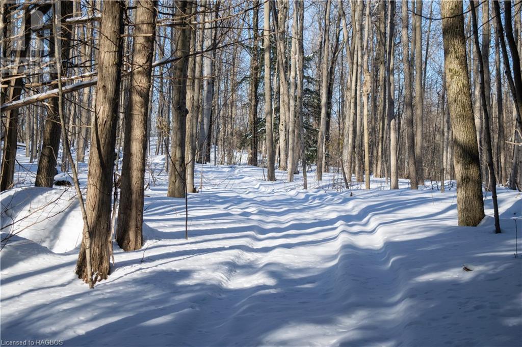 Pt Lt 3 Con 1 Division 3 Wilder Lake Road, Southgate, Ontario  N0G 1R0 - Photo 34 - 40531700