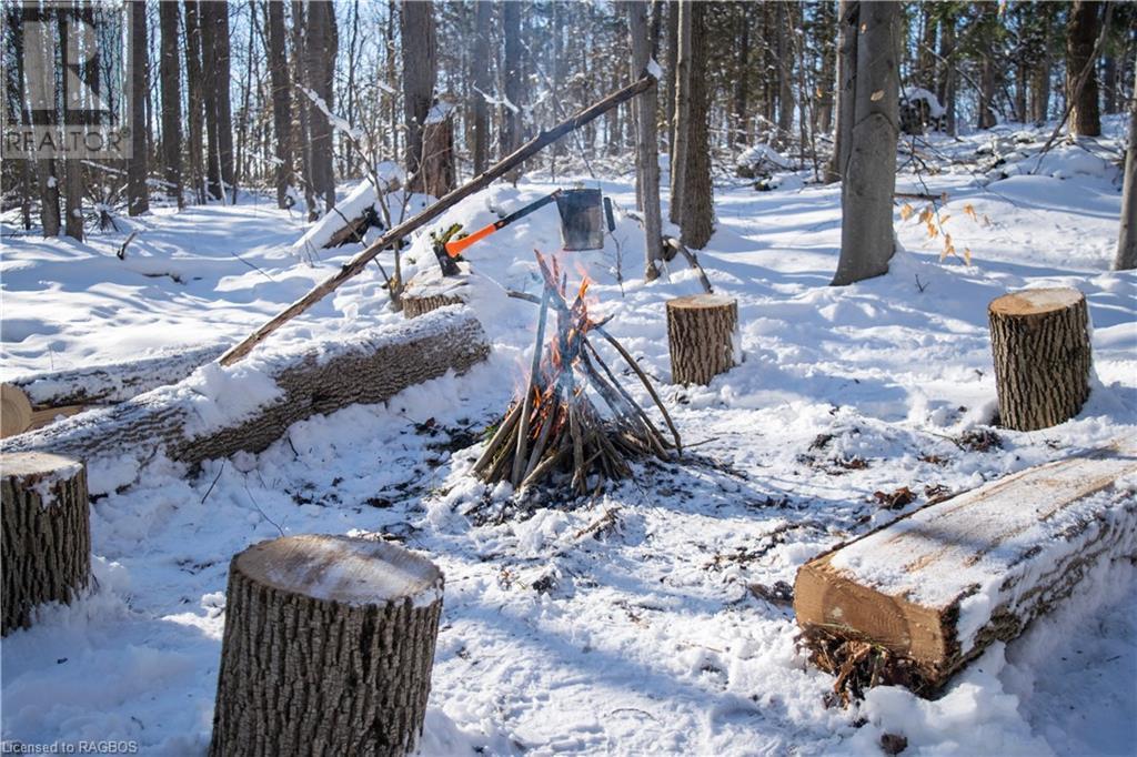 Pt Lt 3 Con 1 Division 3 Wilder Lake Road, Southgate, Ontario  N0G 1R0 - Photo 36 - 40531700