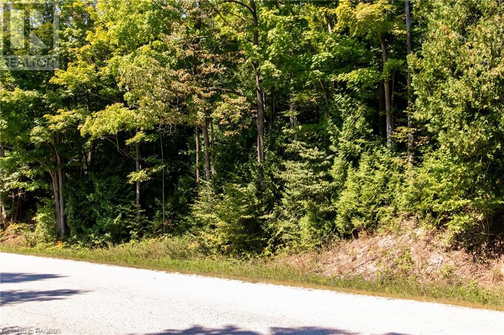 Pt Lt 3 Con 1 Division 3 Wilder Lake Road, Southgate, Ontario  N0G 1R0 - Photo 6 - 40531700