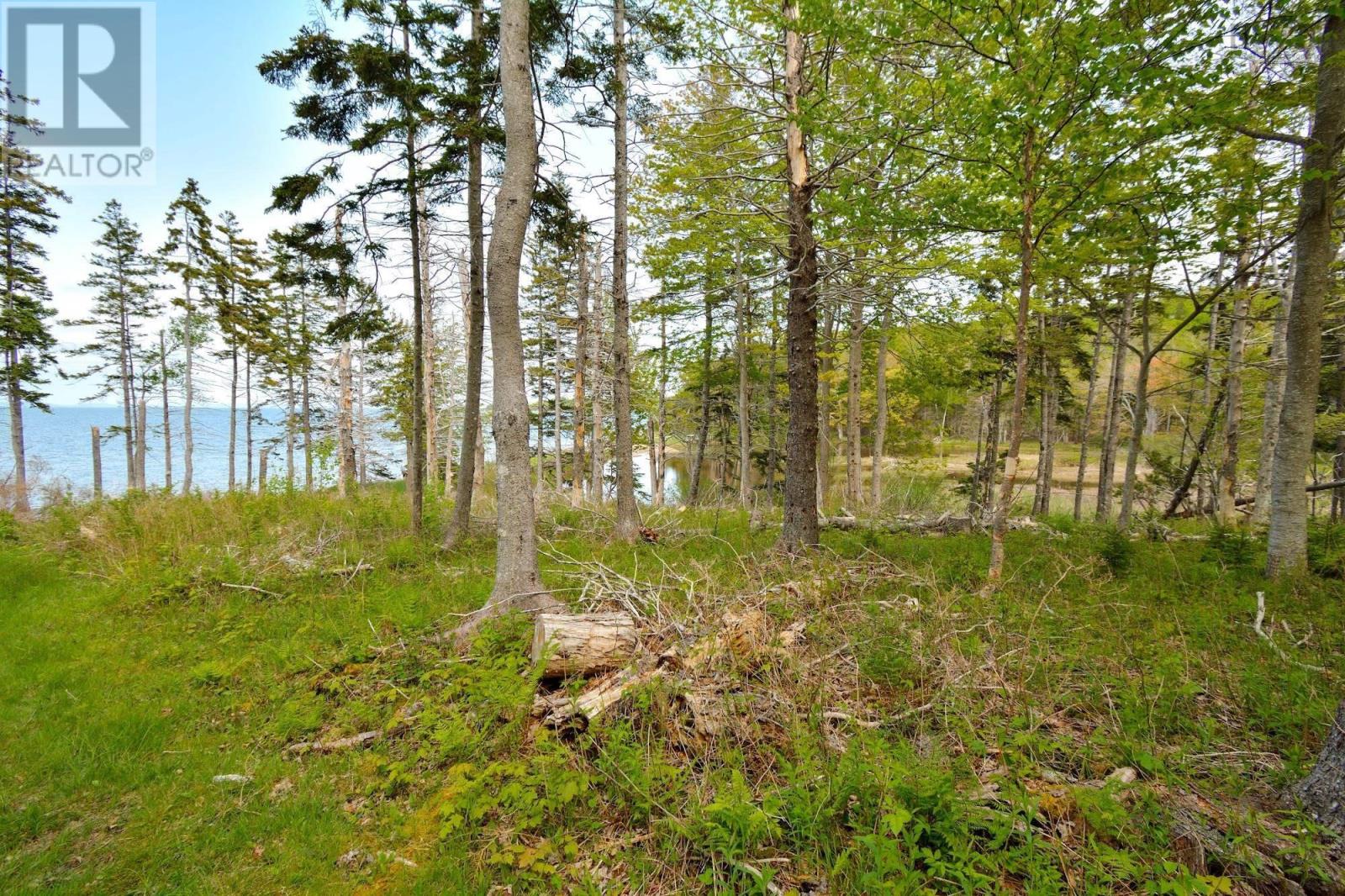 Lot 2 Macleod Pond Road, Roberta, Nova Scotia  B0E 2K0 - Photo 3 - 202310353