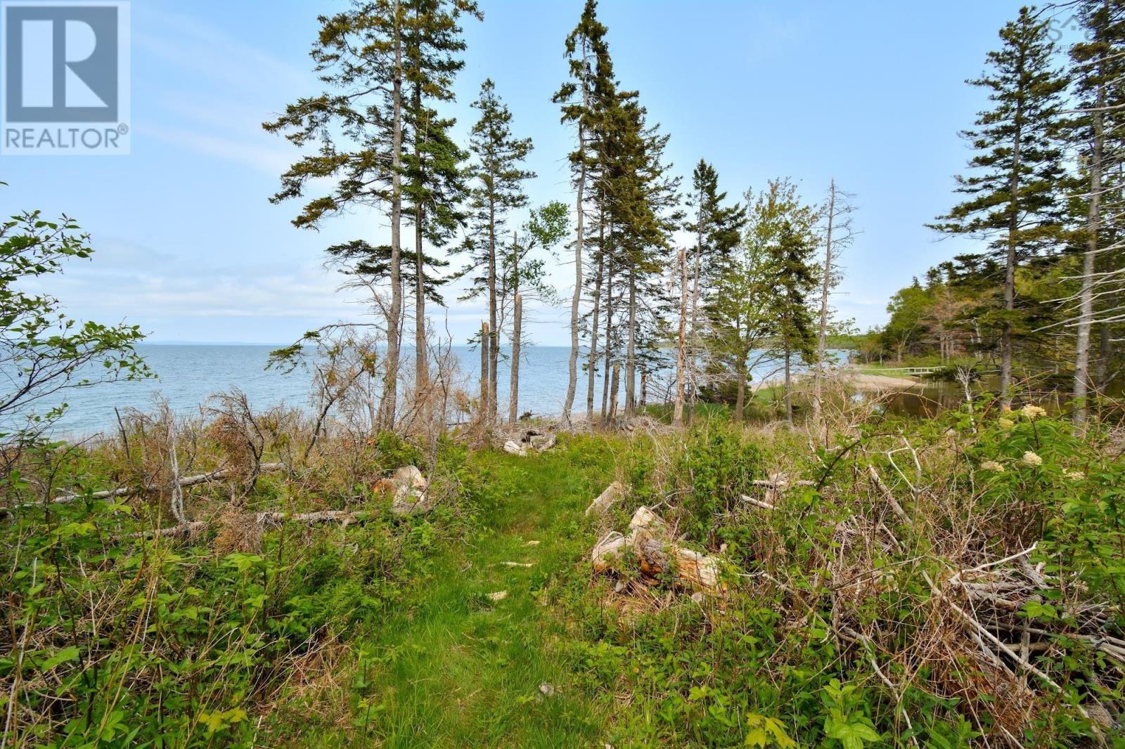 Lot 2 Macleod Pond Road, Roberta, Nova Scotia  B0E 2K0 - Photo 4 - 202310353