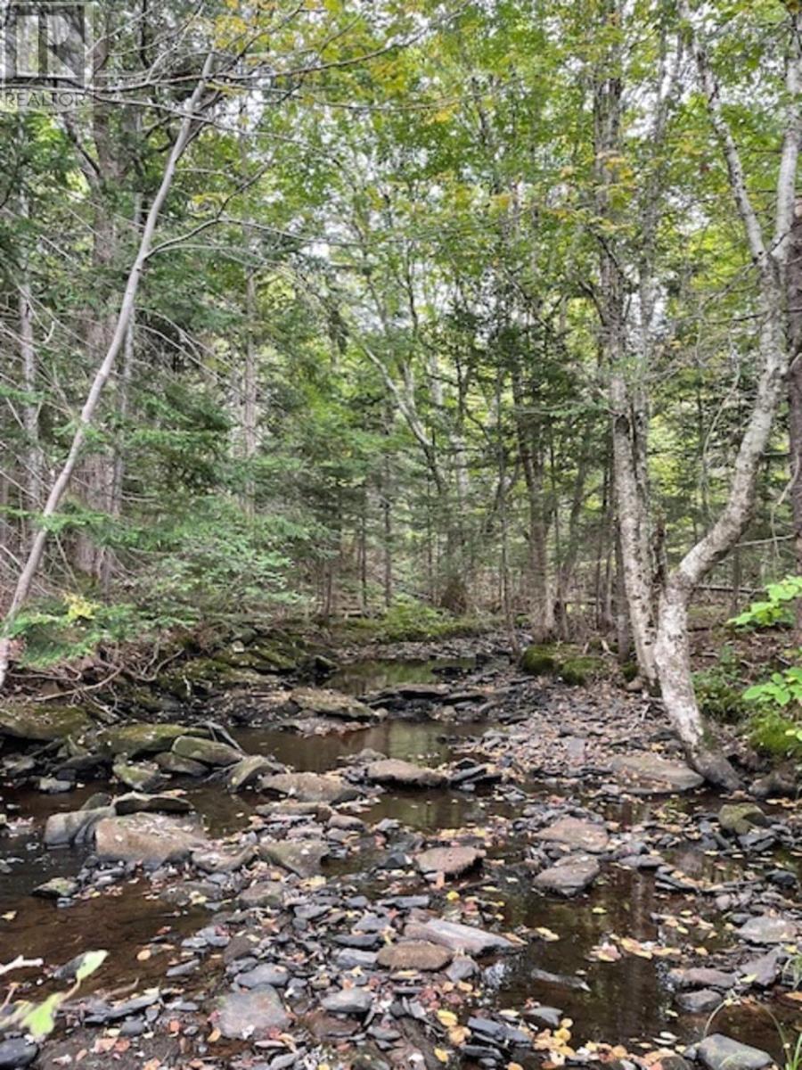 Ainslie Glen Road, Ainslie Glen, Nova Scotia  B0E 1M0 - Photo 29 - 202401395