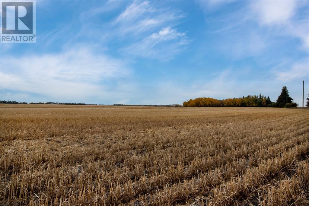 49327 Range Road 253, Leduc, Alberta  T0B 3M3 - Photo 27 - A1259009