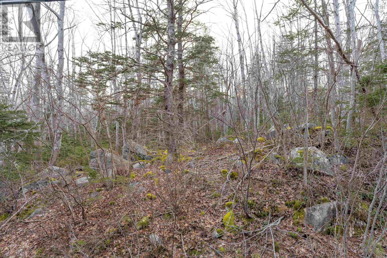 2 Port Medway Road, Port Medway, Nova Road, Port Medway, Nova Scotia  B0J 2T0 - Photo 3 - 202401510