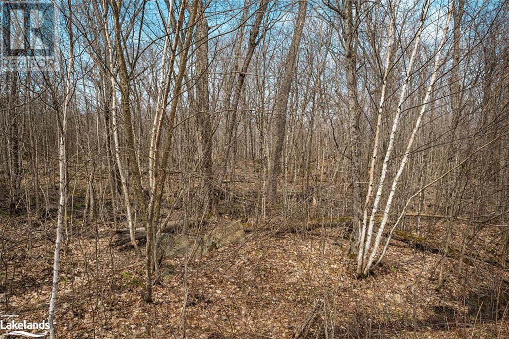 Lot 1 Wendy's Lane, Mckellar, Ontario  P2A 0B5 - Photo 27 - 40533161