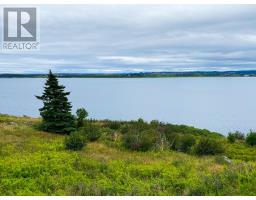 0 Anthonys Road, Spaniards Bay, Newfoundland & Labrador