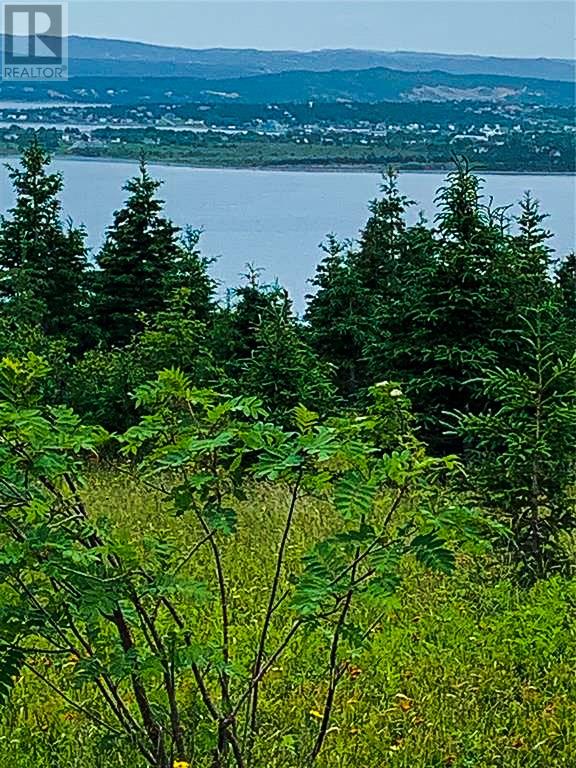 0 Alma Heights, Spaniards Bay, Newfoundland & Labrador  A0A 3X0 - Photo 4 - 1267341