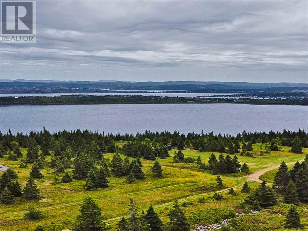 0 Alma Heights, Spaniards Bay, Newfoundland & Labrador  A0A 3X0 - Photo 5 - 1267341