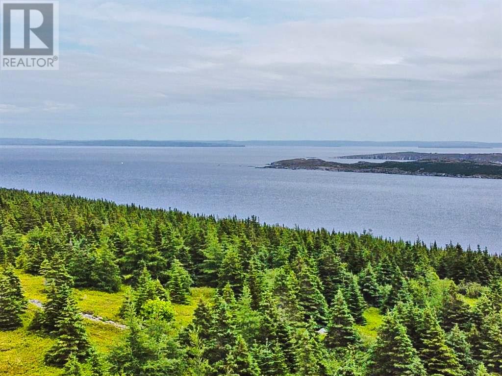 0 Alma Heights, Spaniards Bay, Newfoundland & Labrador  A0A 3X0 - Photo 6 - 1267341