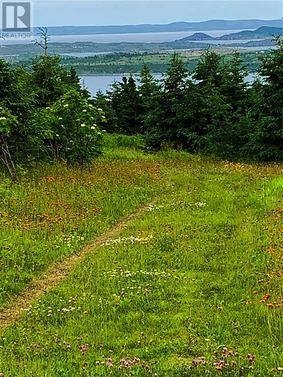 0 Alma Heights, Spaniards Bay, Newfoundland & Labrador  A0A 3X0 - Photo 7 - 1267341