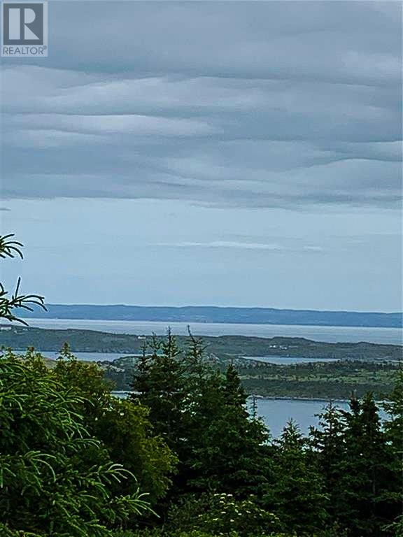 0 Alma Heights, Spaniards Bay, Newfoundland & Labrador  A0A 3X0 - Photo 8 - 1267341