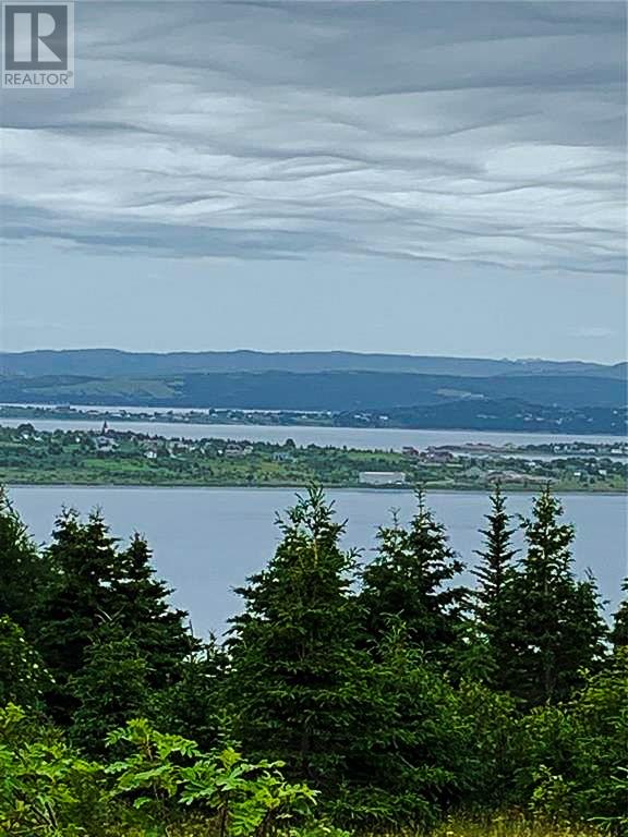 0 Alma Heights, Spaniards Bay, Newfoundland & Labrador  A0A 3X0 - Photo 9 - 1267341