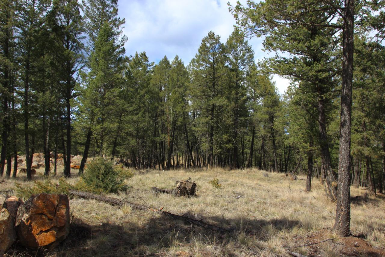 2476 Castlestone Drive, Invermere, British Columbia  V0A 1K6 - Photo 11 - 2474684