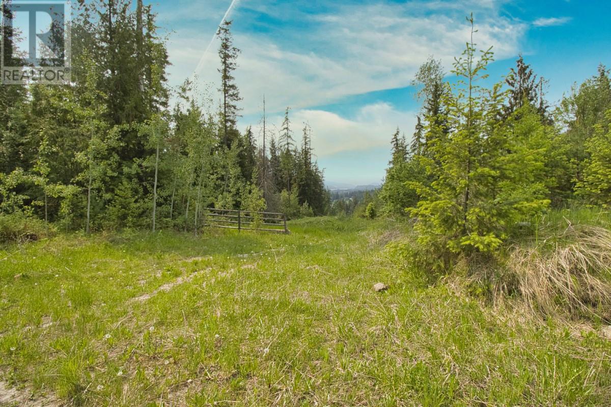 2495 Samuelson Road Sicamous