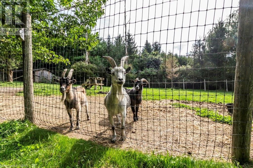 5832 Fourth Line, Rockwood, Ontario  N0B 2K0 - Photo 46 - 40530751