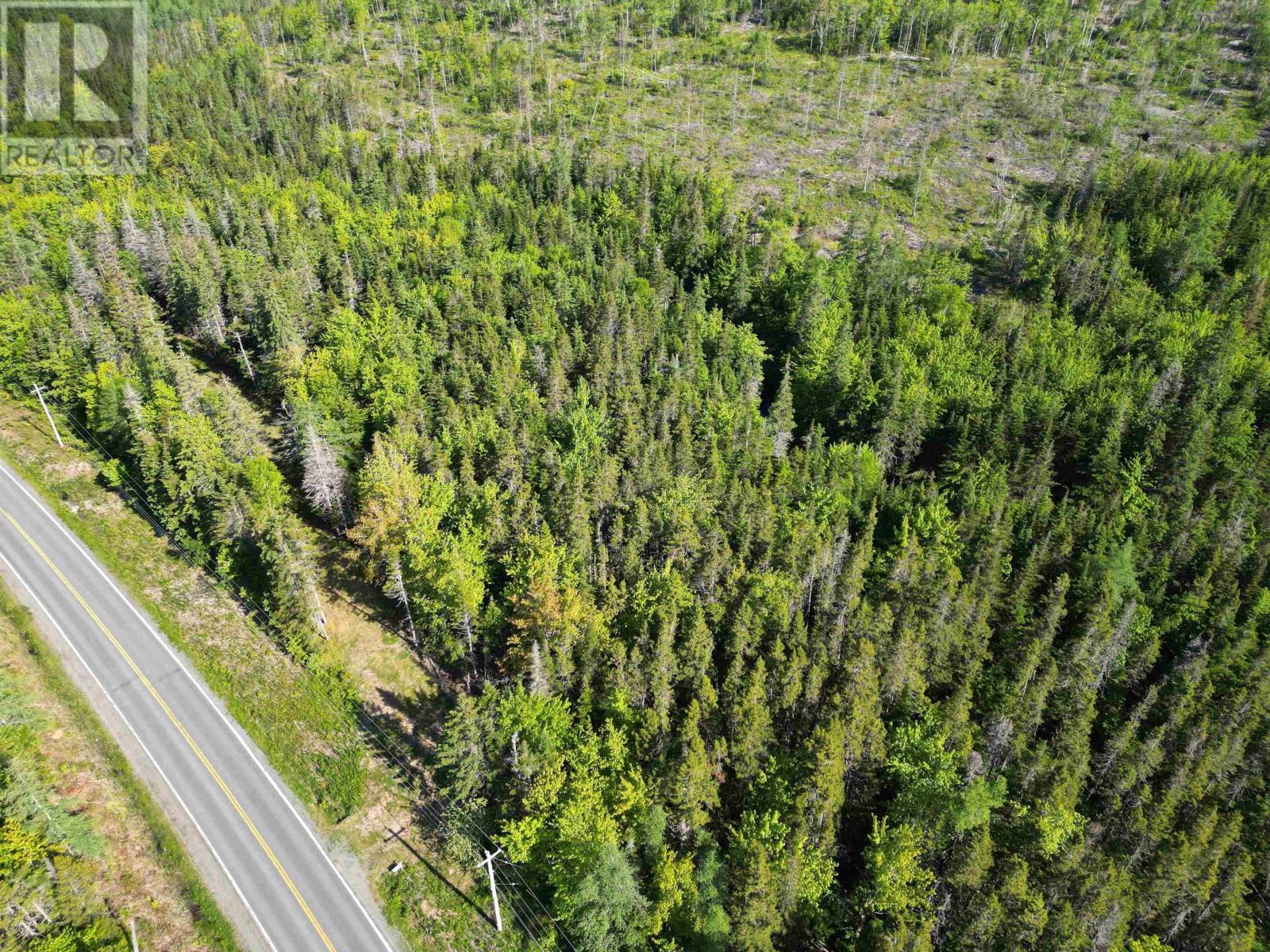 Lot Highway 4, False Bay Brook, River Bourgeois, Nova Scotia  B0E 2X0 - Photo 8 - 202401582