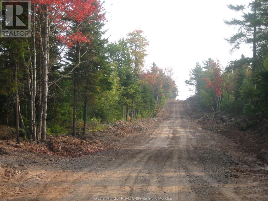 Lot Kinnear Rd, Cormier Village, New Brunswick  E4P 5X8 - Photo 9 - M157055