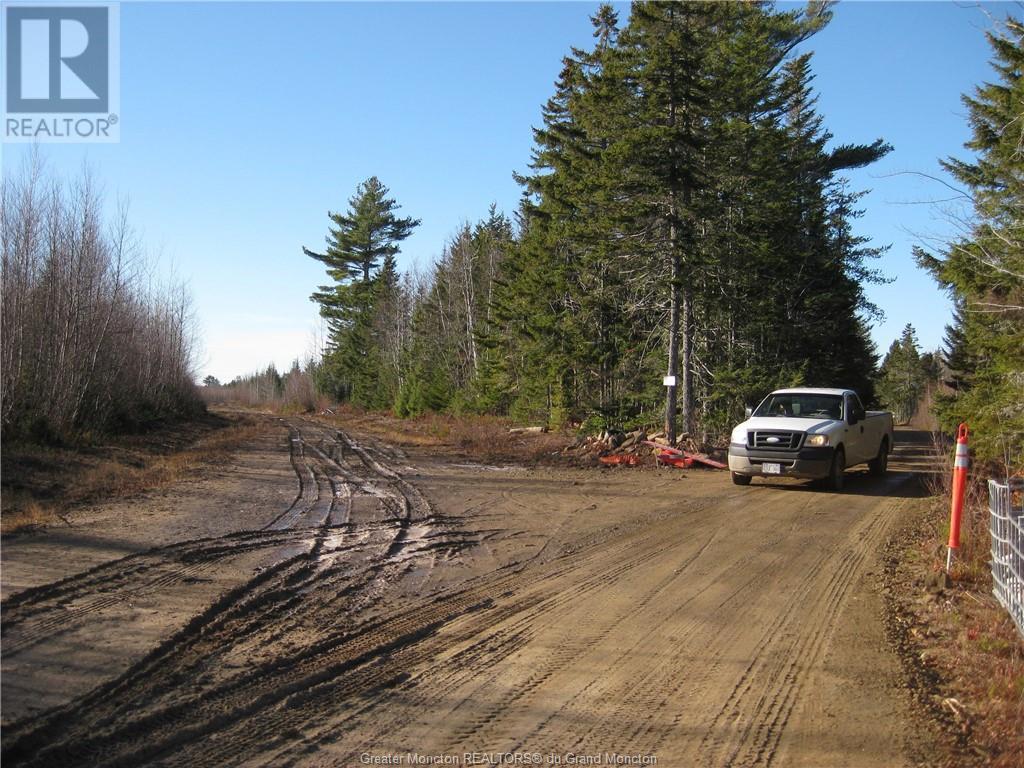 Lot Kinnear Rd, Cormier Village, New Brunswick  E4P 5X8 - Photo 11 - M157055