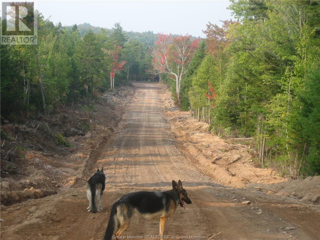 Lot Kinnear Rd, Cormier Village, New Brunswick  E4P 5X8 - Photo 8 - M157055
