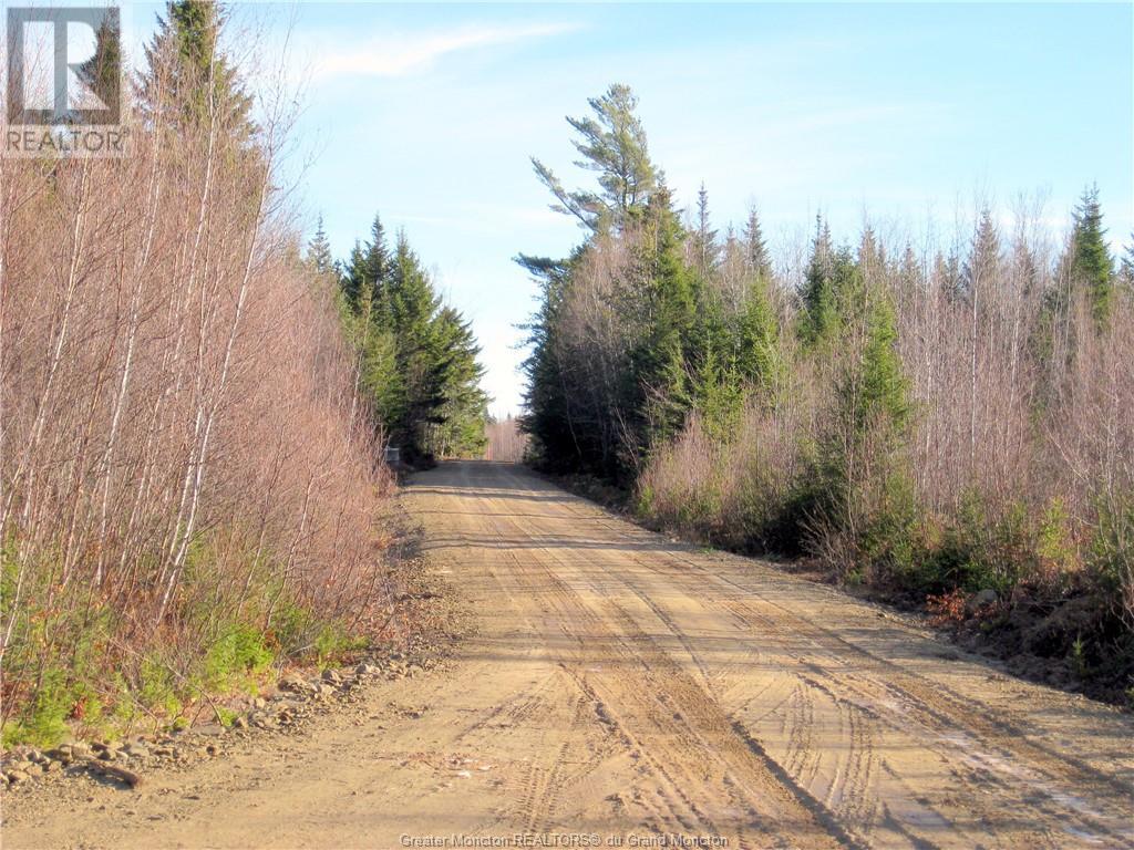 Lot Kinnear Rd, Cormier Village, New Brunswick  E4P 5X8 - Photo 14 - M157055