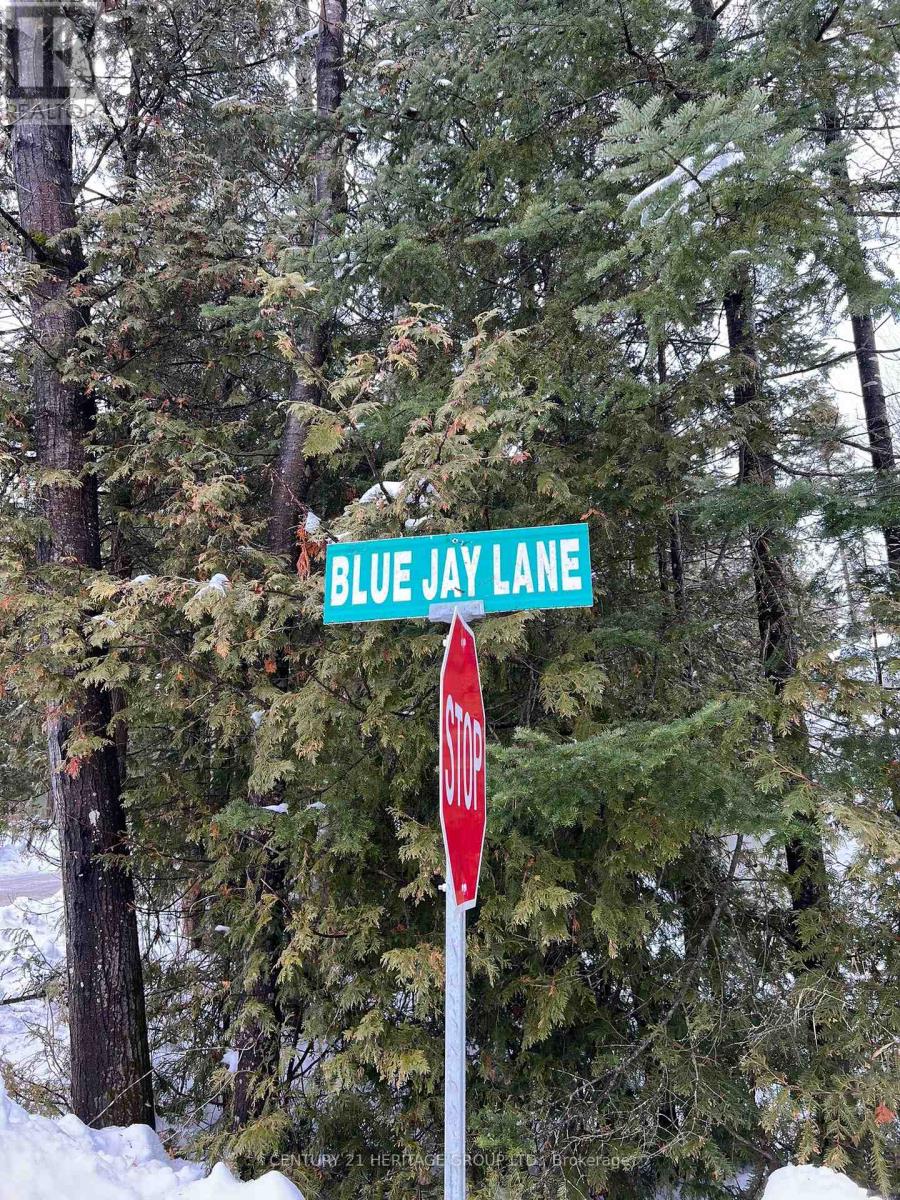 81 Blue Jay Lane, Trent Hills, Ontario  K0K 2M0 - Photo 21 - X8016964