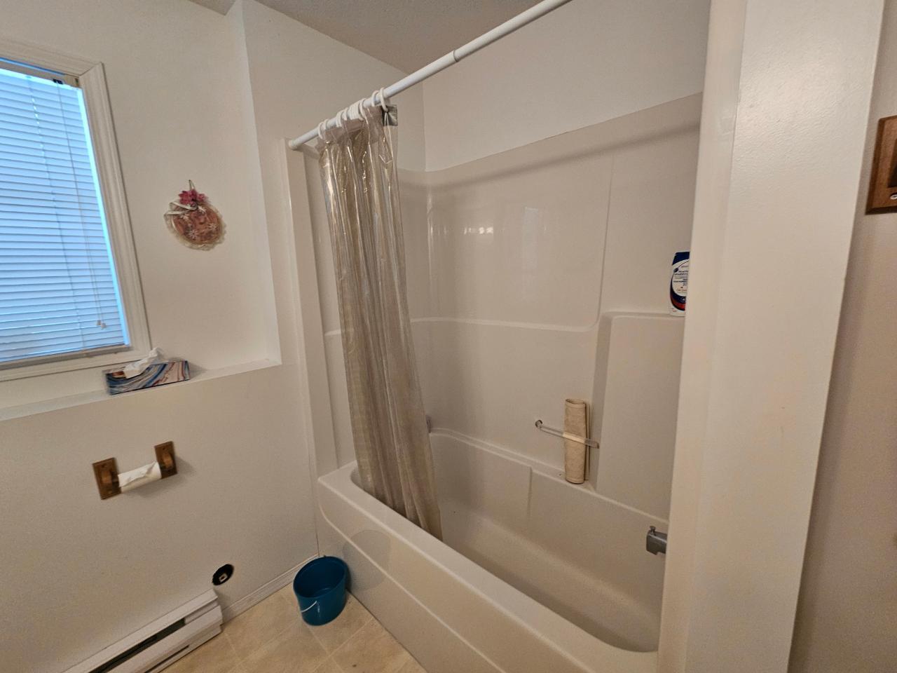 534 Bayview Road, Nakusp, British Columbia  V0G 1R1 - Photo 20 - 2474685