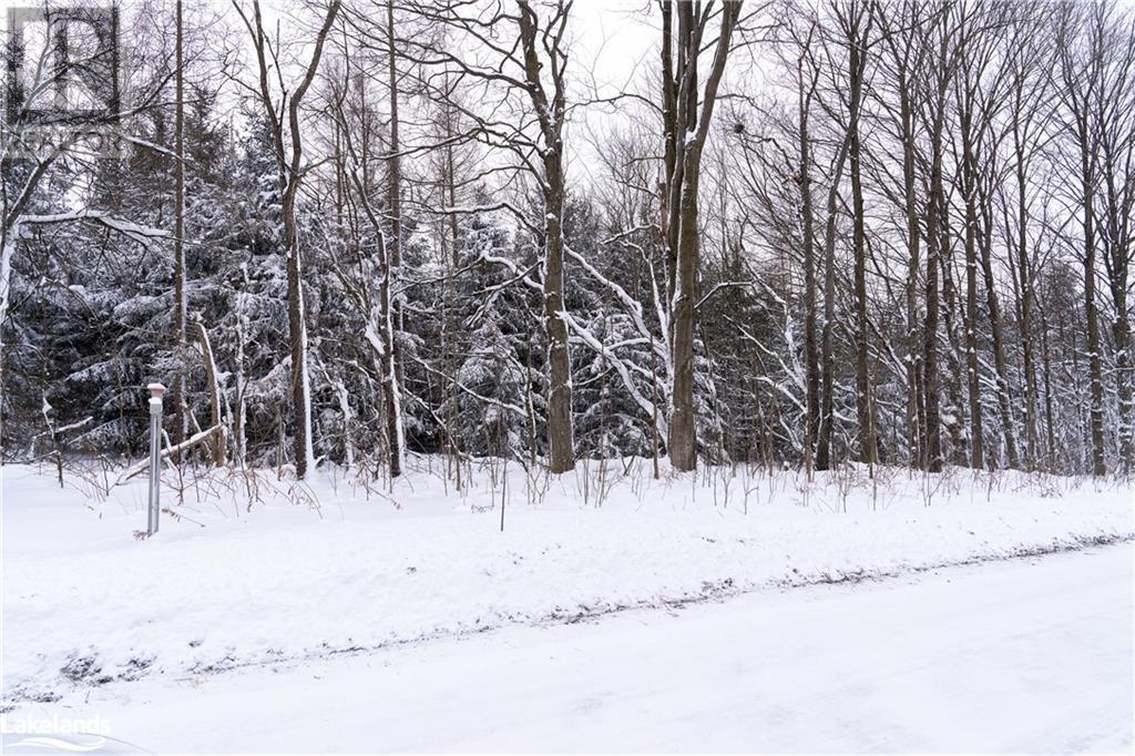 Lot 13 Part 2 North Street, Flesherton, Ontario N0C 1E0 (26426017) Royal LePage Don Hamilton