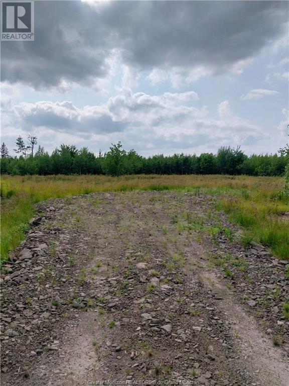 Lot Route 515, Saint-Paul, New Brunswick  E4T 3W5 - Photo 4 - M157060